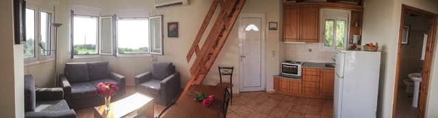 1716379 image