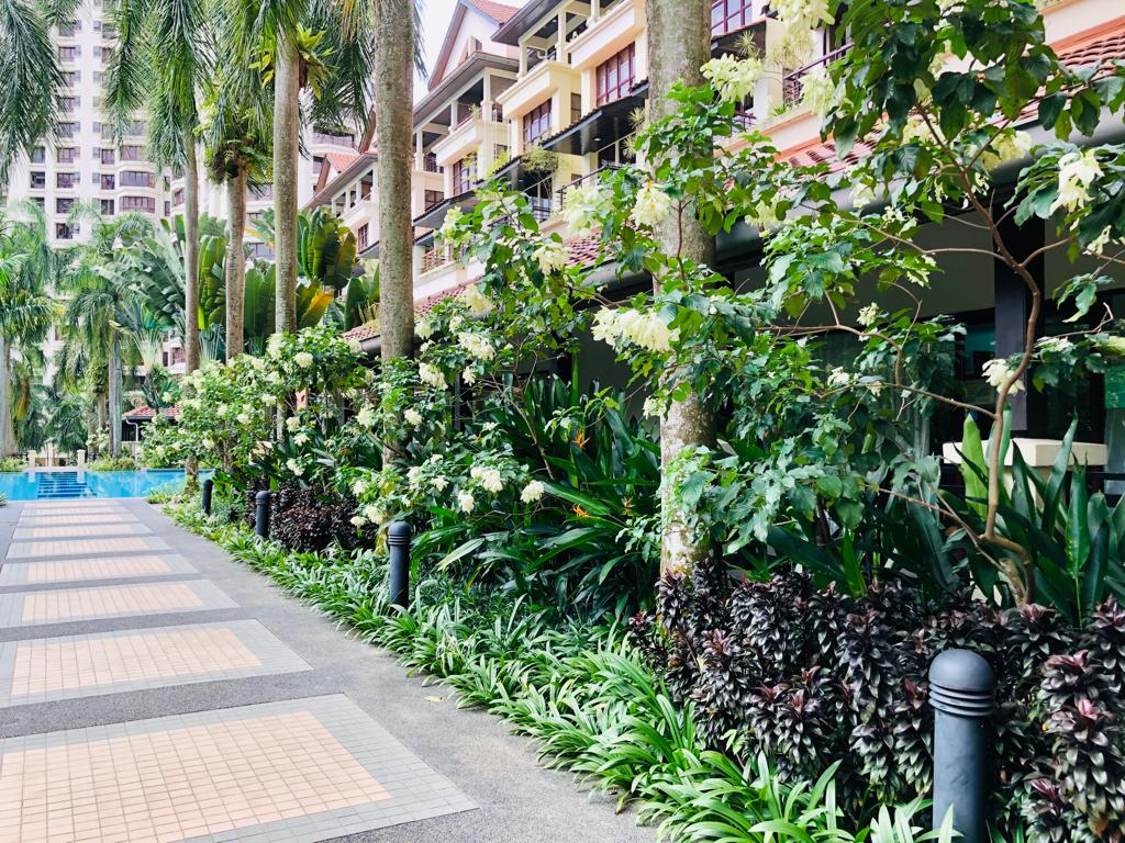 Sri Penaga (Bangsar) image