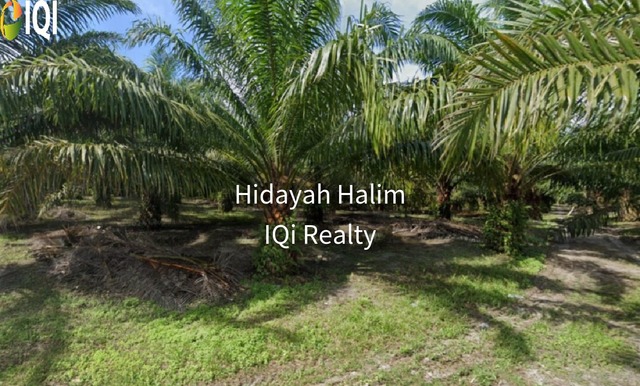 Sedili Besar image