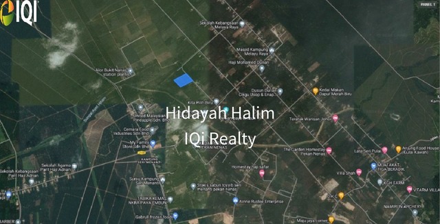 Kg Paya Embun Pekan Nenas Pontian image