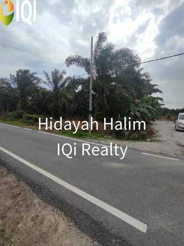 Kg Paya Embun Pekan Nenas Pontian image