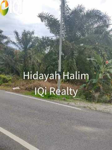 Kg Paya Embun Pekan Nenas Pontian image
