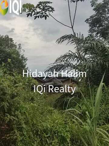 Kg Paya Embun Pekan Nenas Pontian image