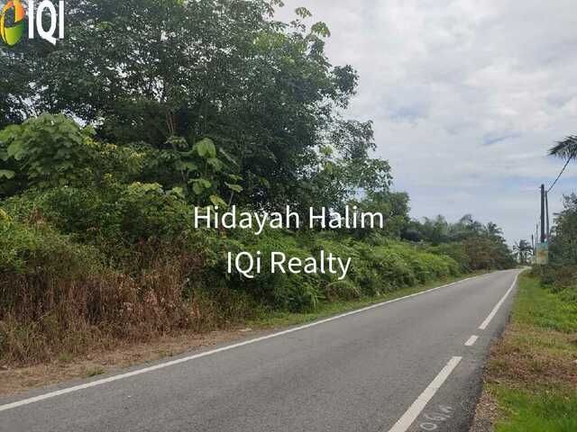 Kg Paya Embun Pekan Nenas Pontian image