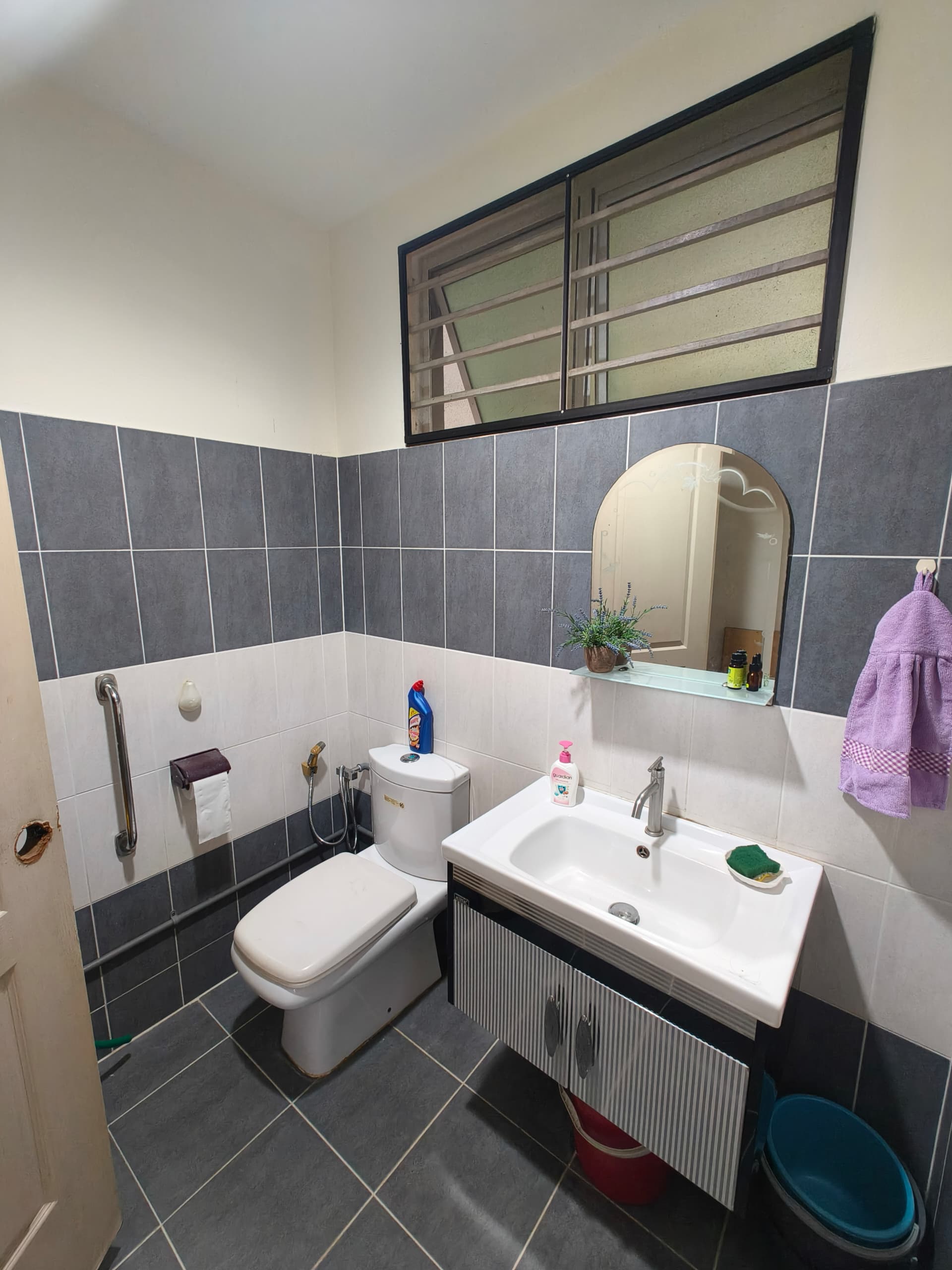 Taman Padi View Villa image