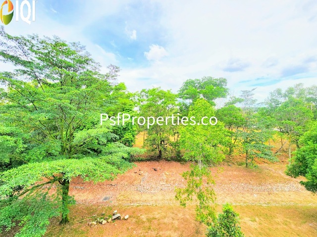 Thistle Grove image
