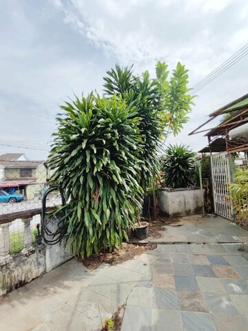 Corner Double Storey Full Loan Low Down Pengkalan Indah Desa Pakatan Station 18 Pinji Mewah image