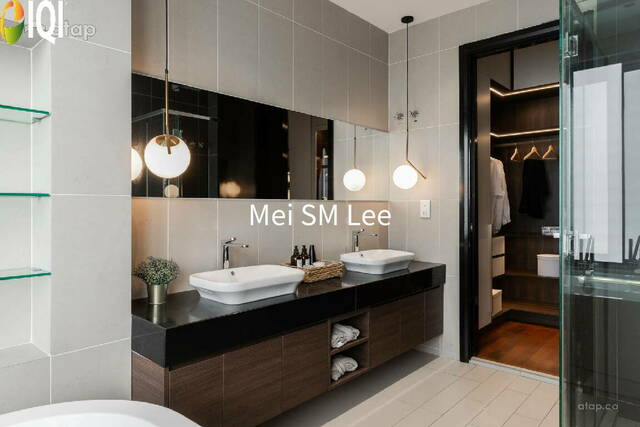 LaVille image