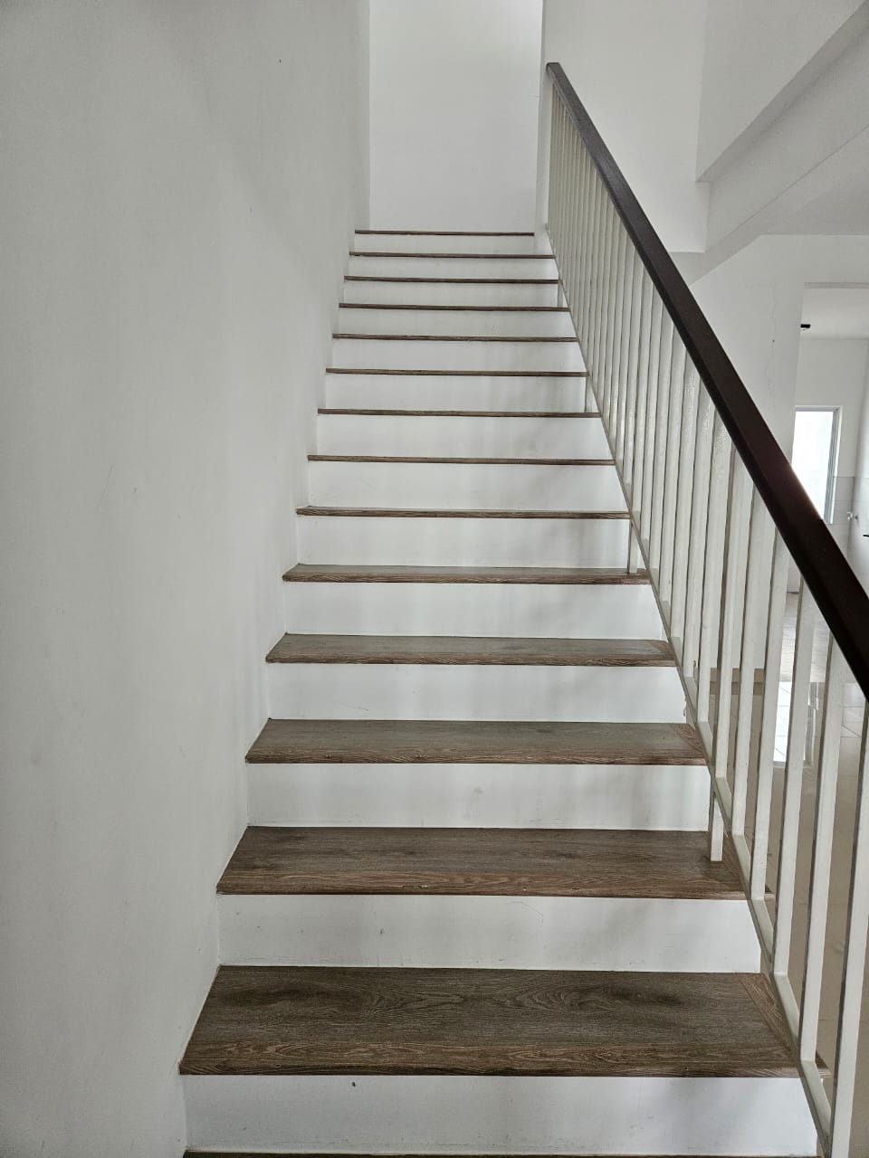 BANDAR AINSDALE image