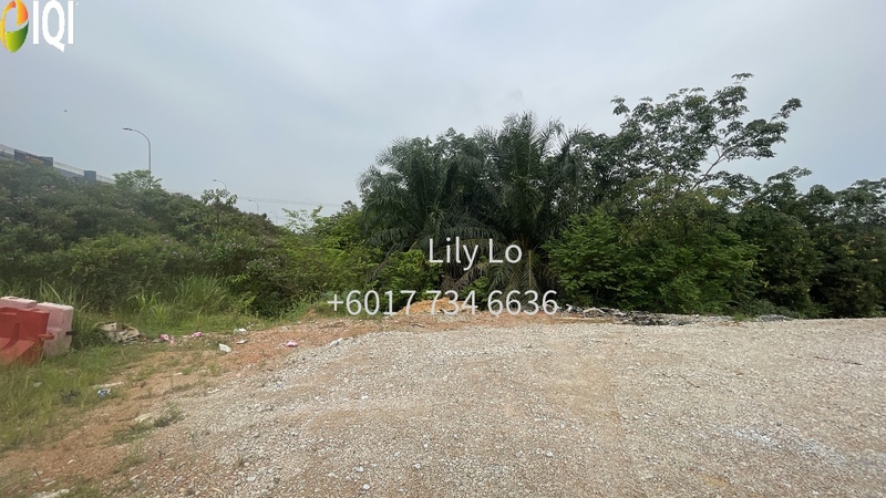 Desa Cemerlang agriculature land zoning medium industry