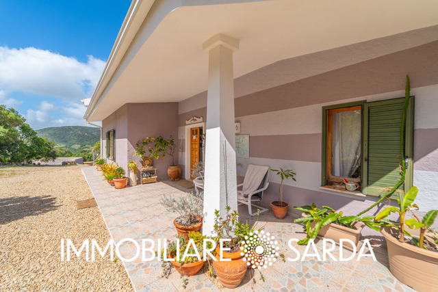 PLI-01-25 - Sea View Villa Just Minutes from Porto Pollo | Palau image