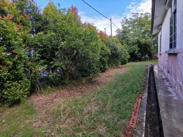 Single Storey Bungalow photo