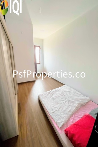 Elmina Green 4 image