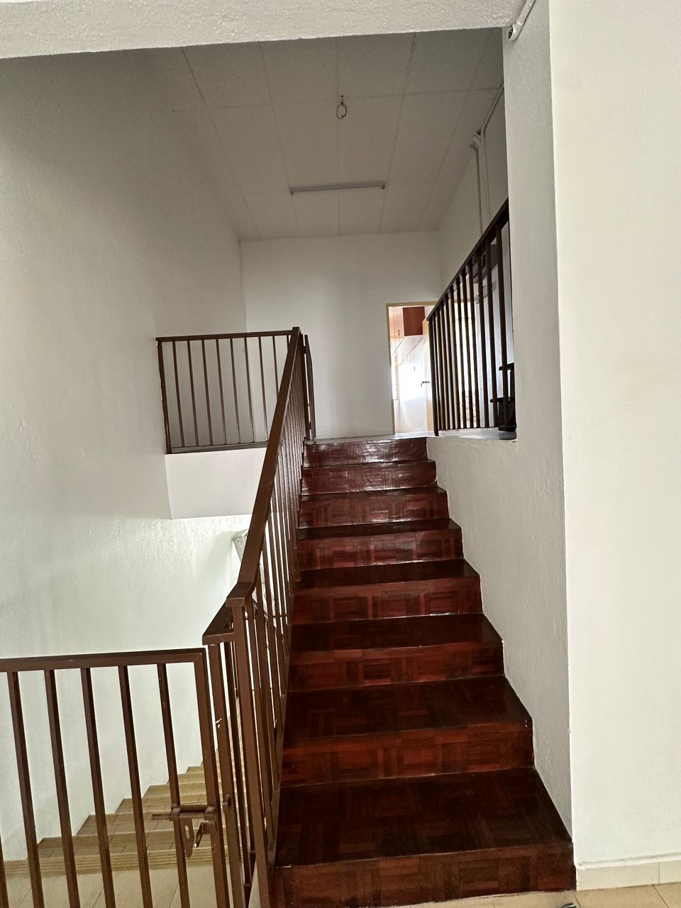 TAMAN BUNGA MAWAR image