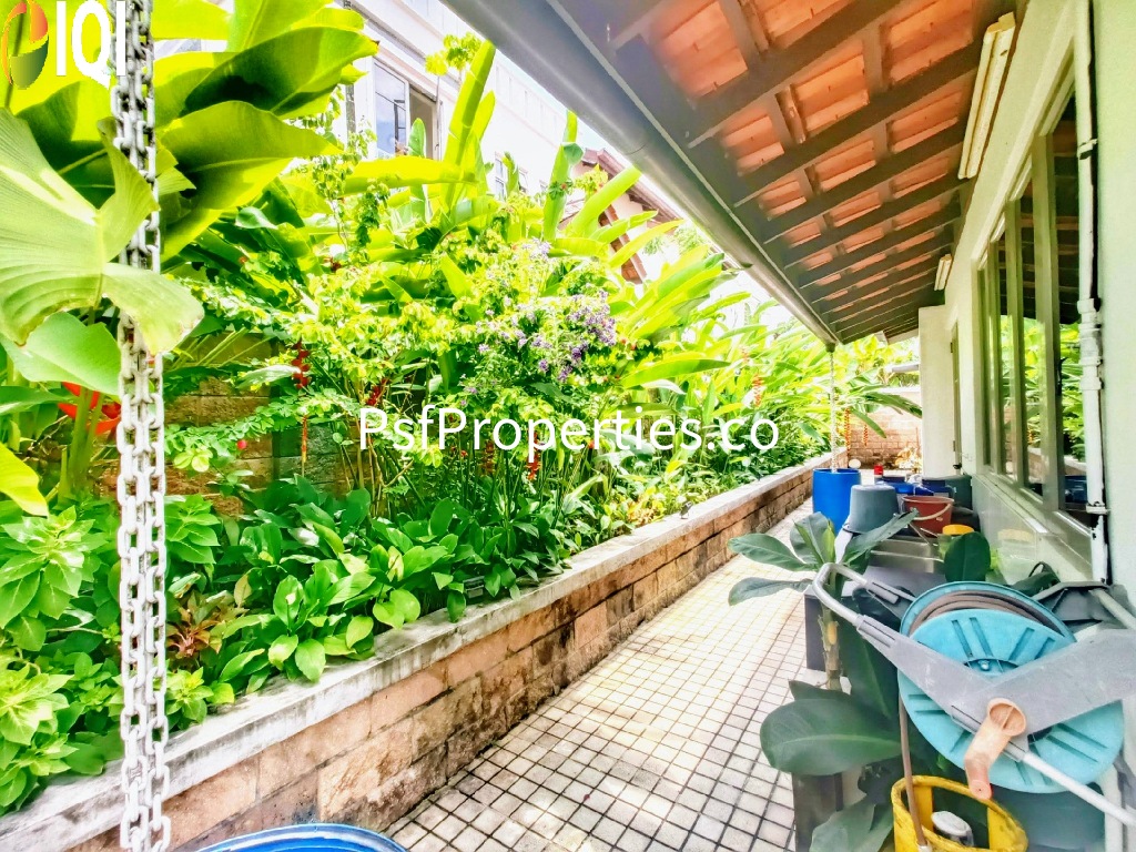 Titian, Bukit Jelutong image