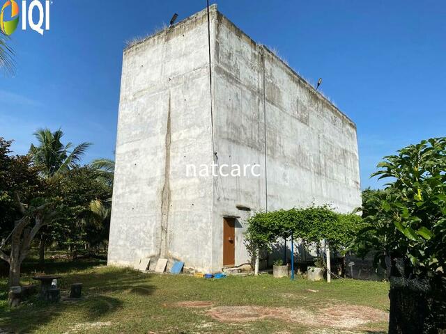 Freehold Bungalow Swiftlet House & Land Kg Panchor for Sale image