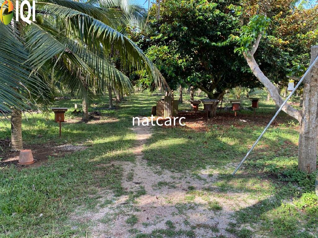 Freehold Bungalow Swiftlet House & Land Kg Panchor for Sale image