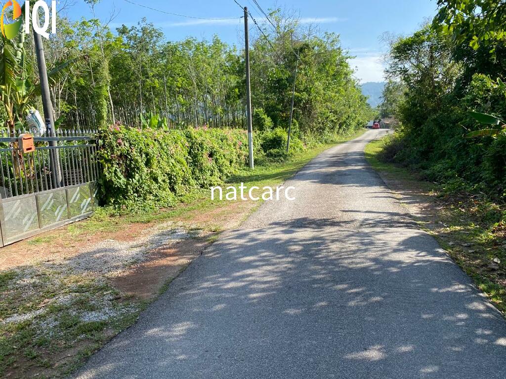 Freehold Bungalow Swiftlet House & Land Kg Panchor for Sale image