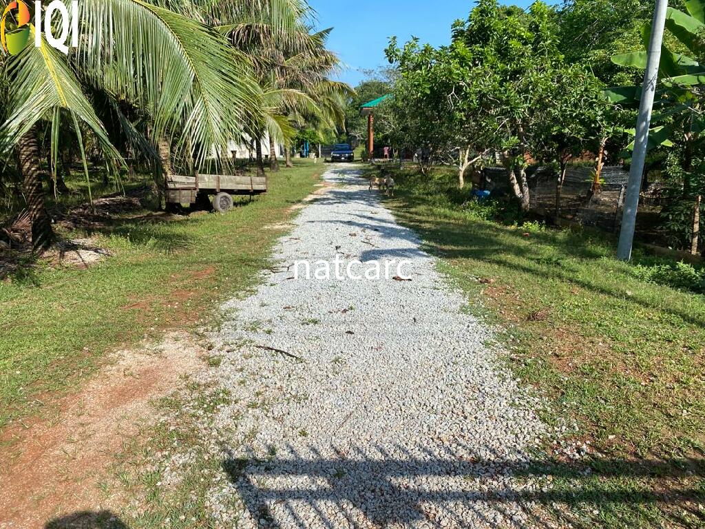 Freehold Bungalow Swiftlet House & Land Kg Panchor for Sale image