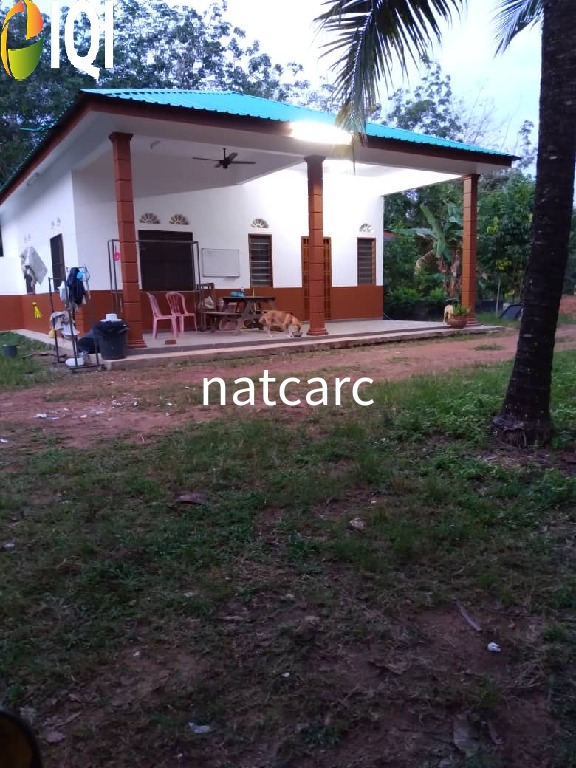 Freehold Bungalow Swiftlet House & Land Kg Panchor for Sale image