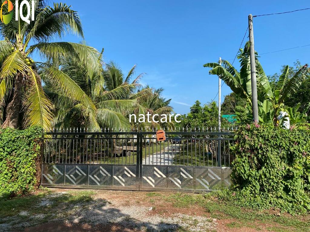 Freehold Bungalow Swiftlet House & Land Kg Panchor for Sale image