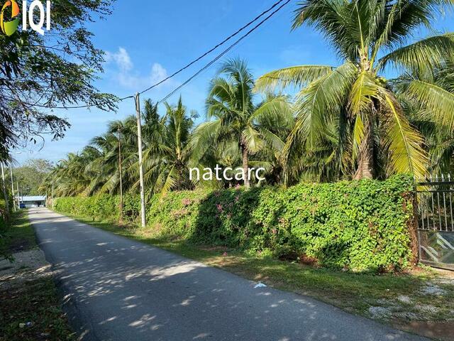 Freehold Bungalow Swiftlet House & Land Kg Panchor for Sale image