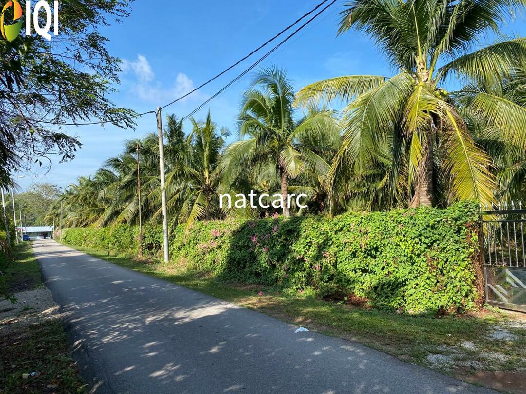 Freehold Bungalow Swiftlet House & Land Kg Panchor for Sale image