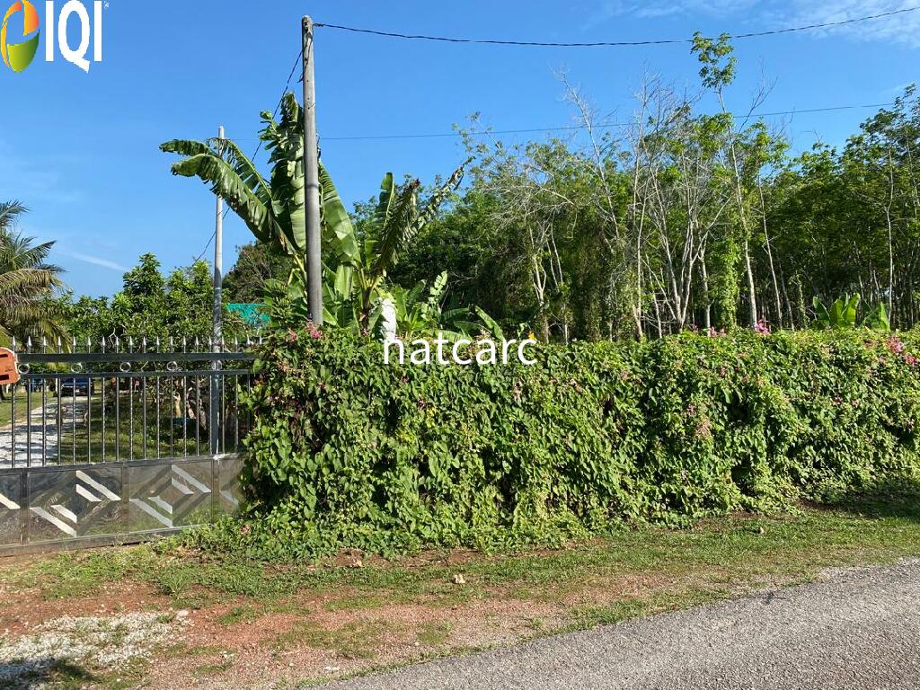Freehold Bungalow Swiftlet House & Land Kg Panchor for Sale image