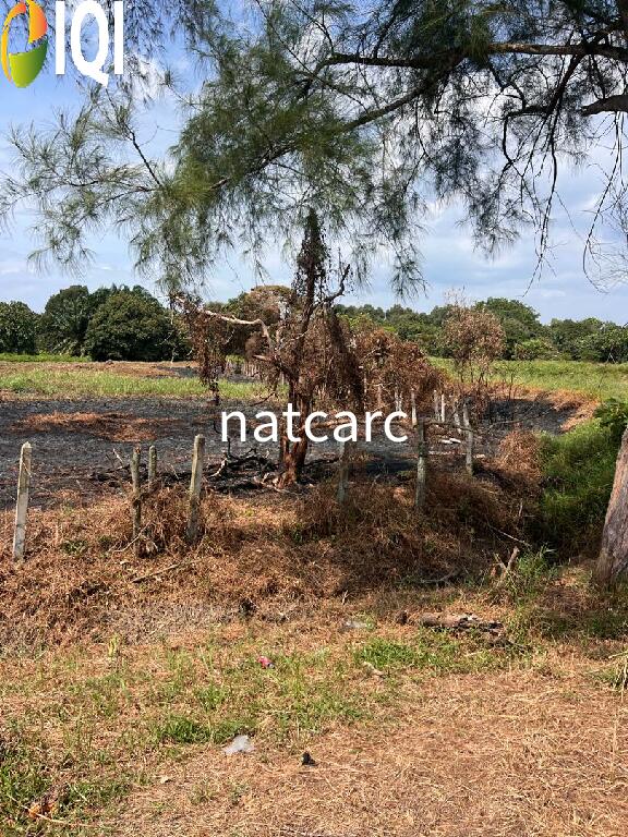 Agriculture Land Kuala Linggi Alor Gajah Melaka for Sale image