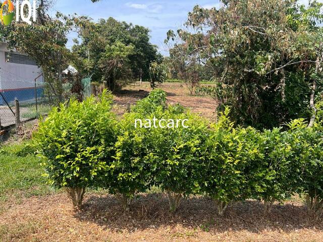 Agriculture Land Kuala Linggi Alor Gajah Melaka for Sale image