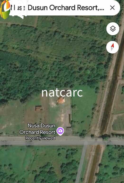 Agriculture Land Kuala Linggi Alor Gajah Melaka for Sale image