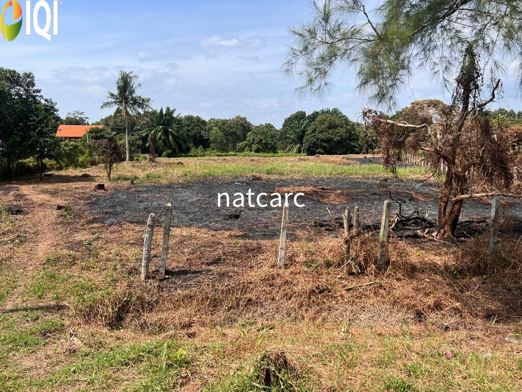 Agriculture Land Kuala Linggi Alor Gajah Melaka for Sale image