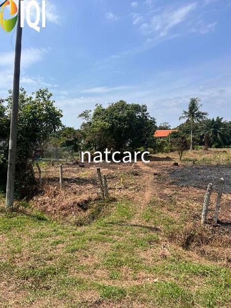 Agriculture Land Kuala Linggi Alor Gajah Melaka for Sale