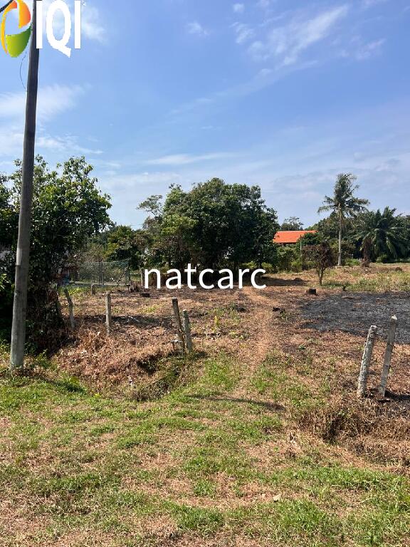 Agriculture Land Kuala Linggi Alor Gajah Melaka for Sale image