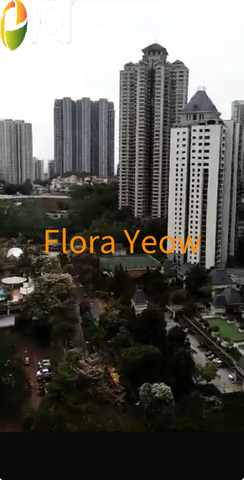 mont kiara banyan image