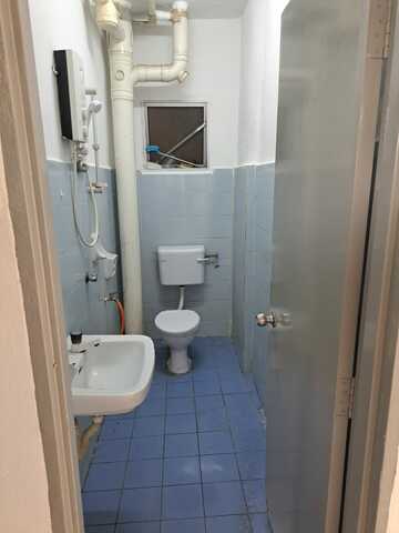 Vista Lavender image