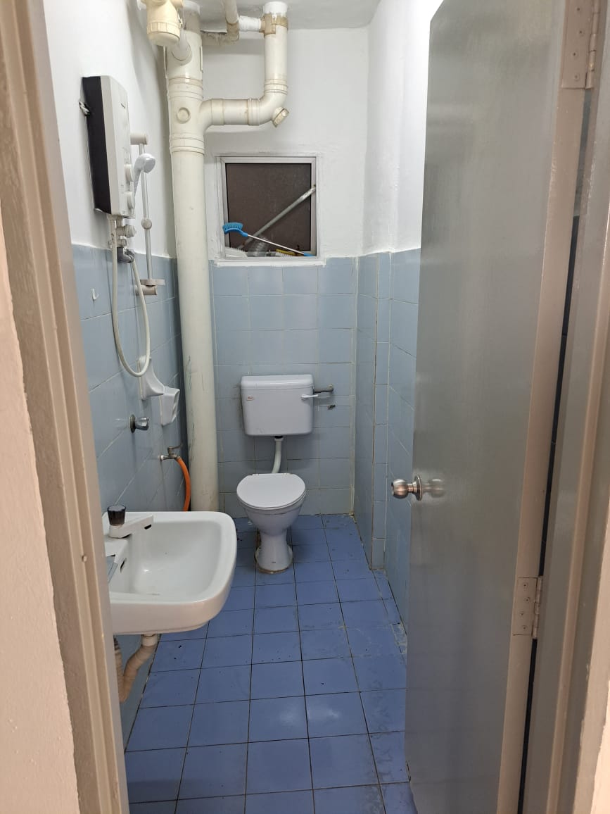 Vista Lavender image