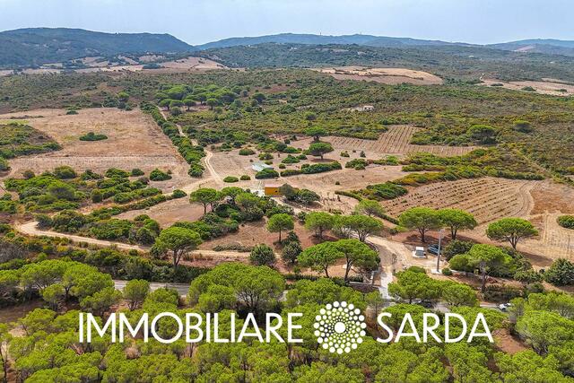 TVI-01-25  - 21-Hectare Estate Just Steps from the Sea | Vignola Mare image