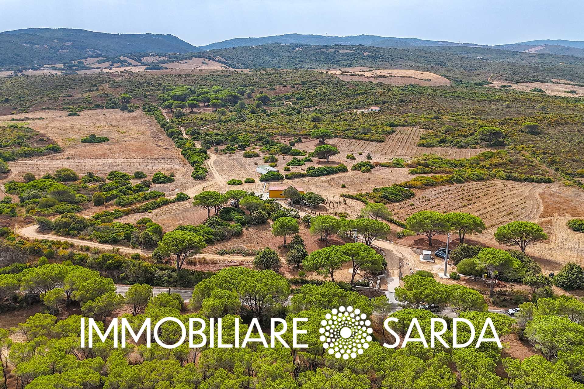 TVI-01-25  - 21-Hectare Estate Just Steps from the Sea | Vignola Mare image