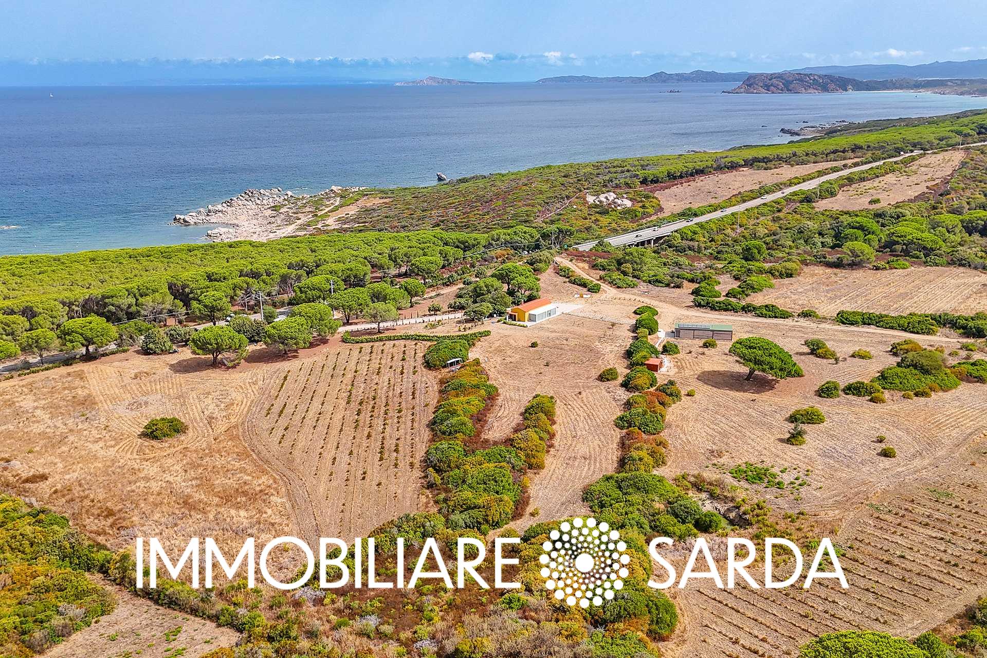TVI-01-25  - 21-Hectare Estate Just Steps from the Sea | Vignola Mare image