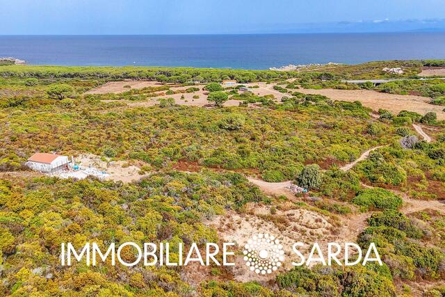 TVI-01-25  - 21-Hectare Estate Just Steps from the Sea | Vignola Mare image