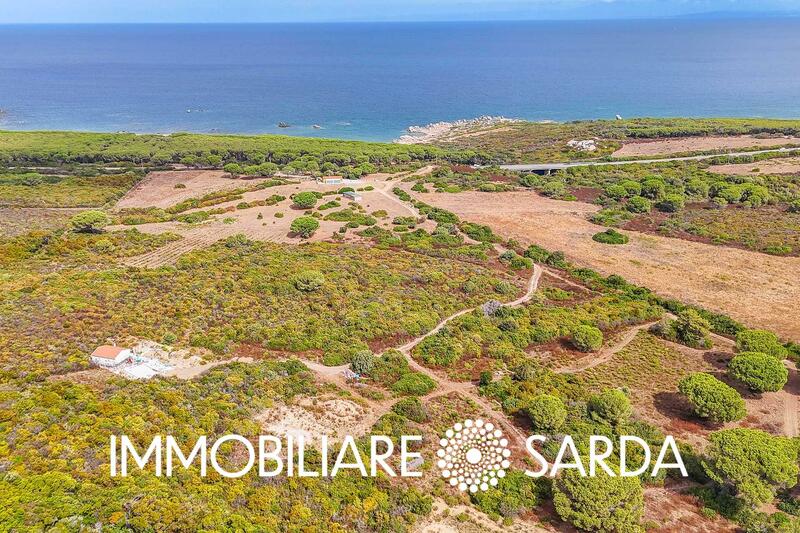 TVI-01-25  - 21-Hectare Estate Just Steps from the Sea | Vignola Mare