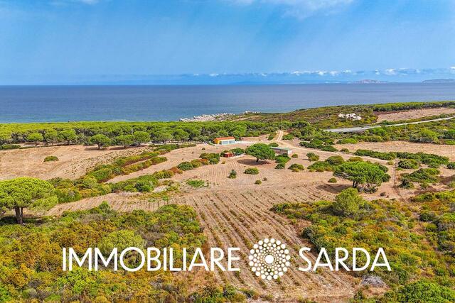 TVI-01-25  - 21-Hectare Estate Just Steps from the Sea | Vignola Mare image
