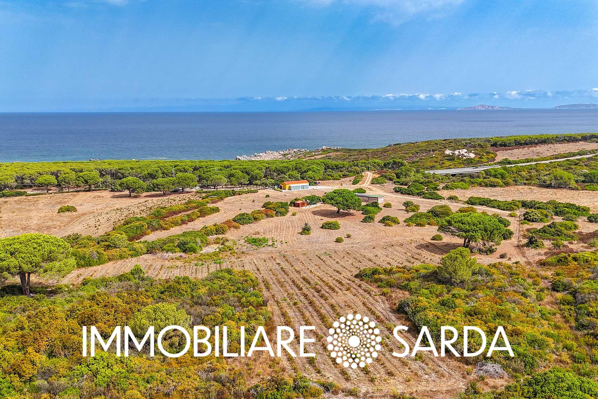 TVI-01-25  - 21-Hectare Estate Just Steps from the Sea | Vignola Mare image