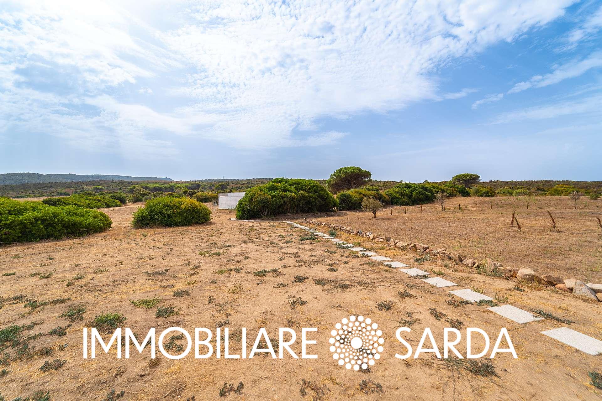 TVI-01-25  - 21-Hectare Estate Just Steps from the Sea | Vignola Mare image