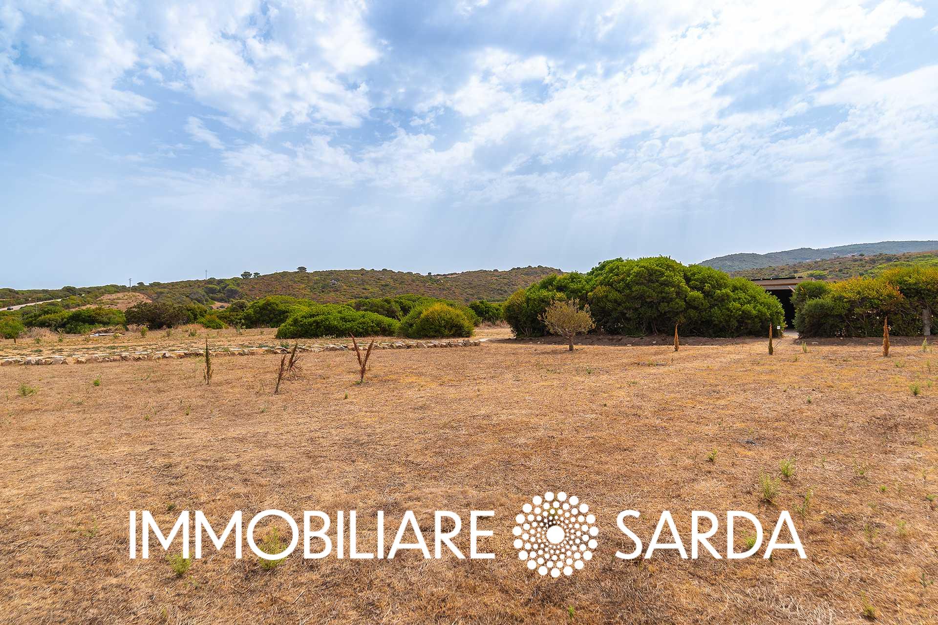 TVI-01-25  - 21-Hectare Estate Just Steps from the Sea | Vignola Mare image