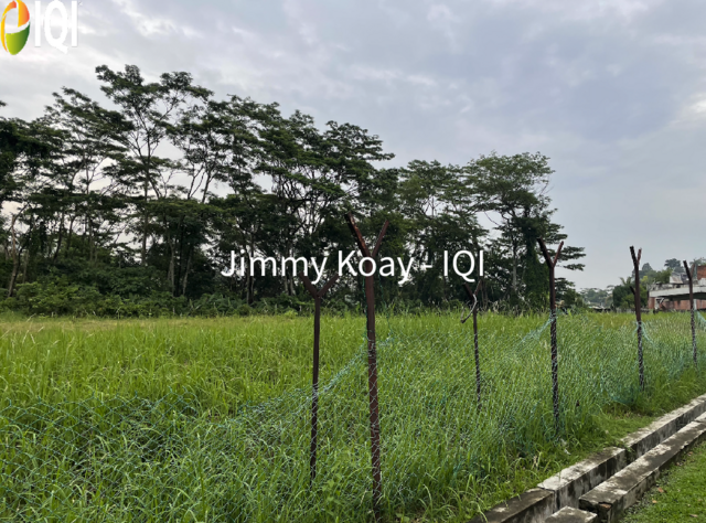 Corner Bungalow Land (Flat Land) in Prestigious Taman Duta, Kuala Lumpur image