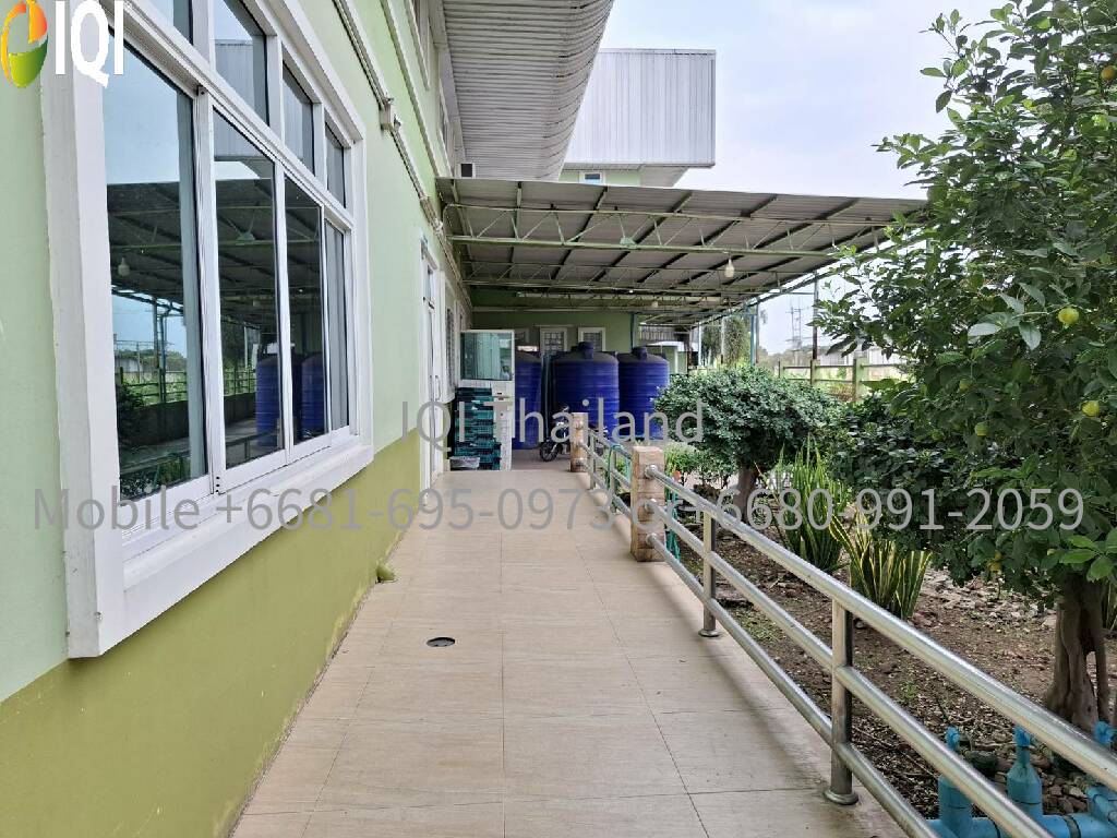 Land for sale, including a dessert factory image