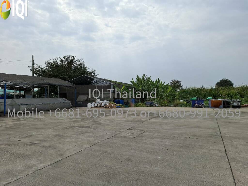 Land for sale, including a dessert factory image