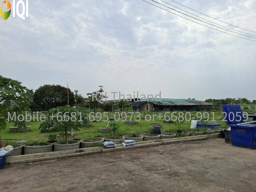 Land for sale, including a dessert factory image